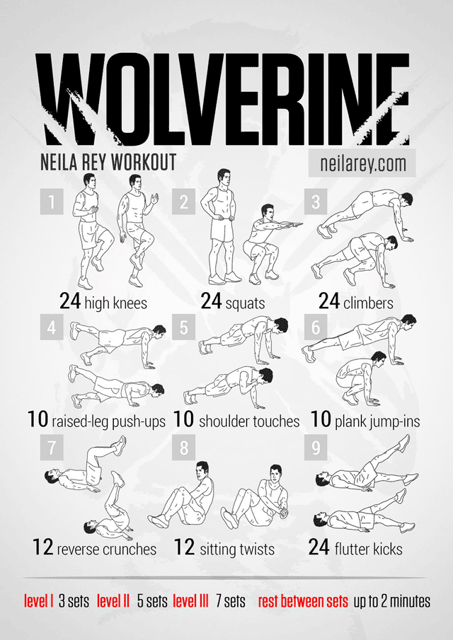 wolverine #workout #Squat #HighKnees #climbers #PushUps #ShoulderTouches #PlankJumpIns #ReverseCrunches #Crunches #SittingTwists #Flutterkicks @Sport @Musculation @Training #Training